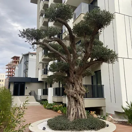 Besthome 41 Saga דירה *